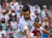 爱游戏tv-世界网球队力克意大利网球队，德约科维奇关键制胜