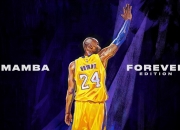 AYX官方直播-凯尔特人铁血防守锁死鹈鹕，奥运周期关键战成战术教科书