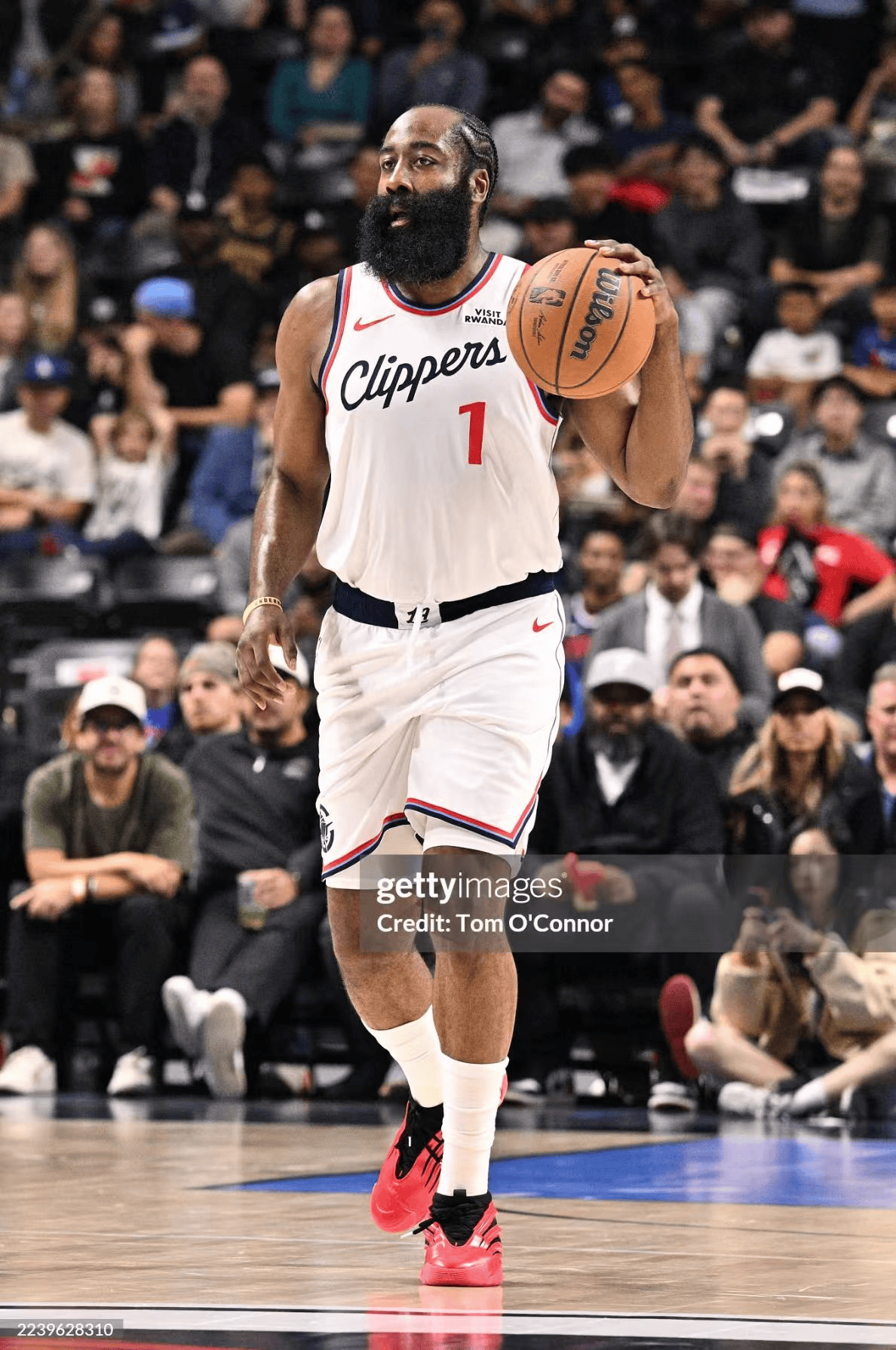 浙江队逆转广州队，哈登状态火热