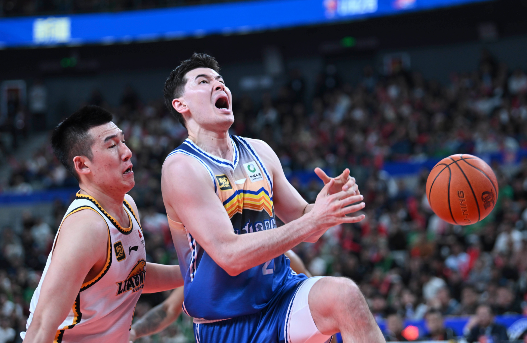 辽宁队横扫凯尔特人，张镇麟关键制胜