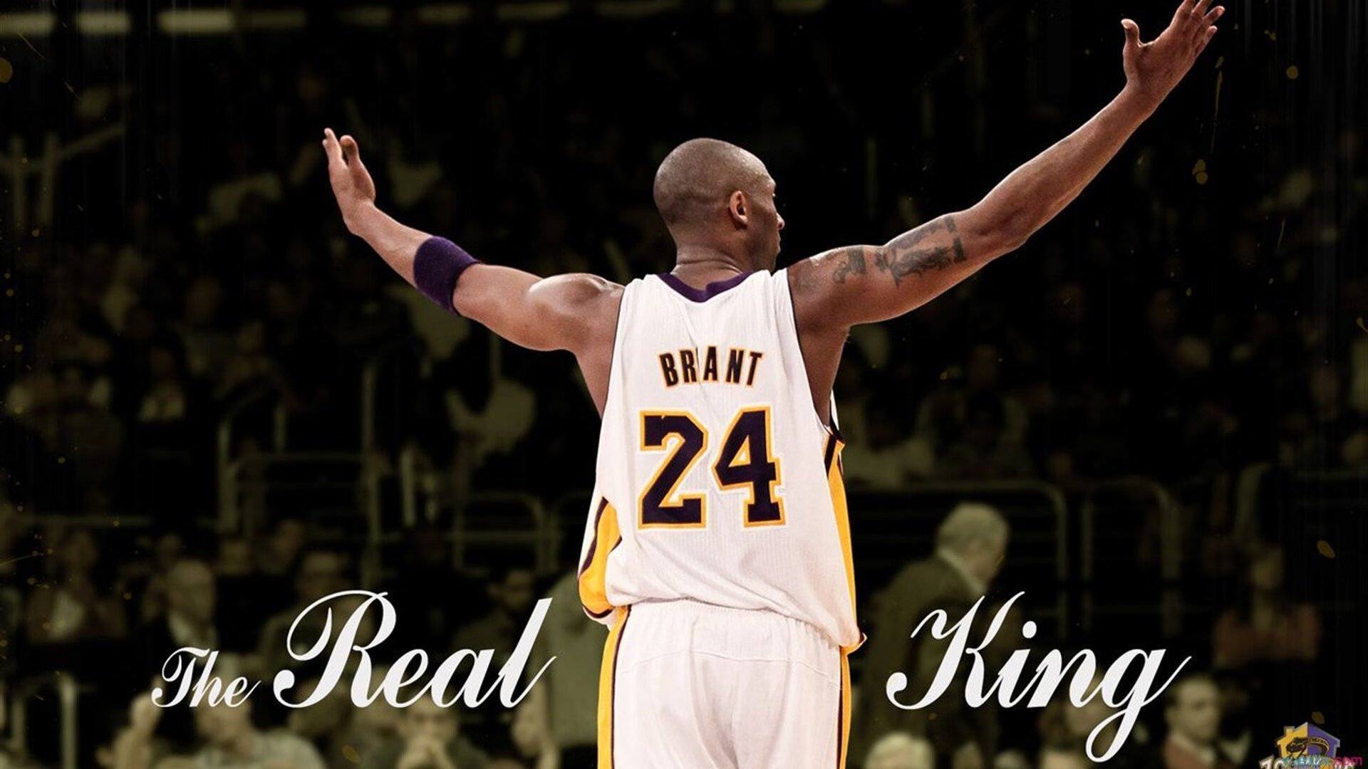 铁翼遮天，老鹰一波流带走勇士，小贾伦生死战封神记