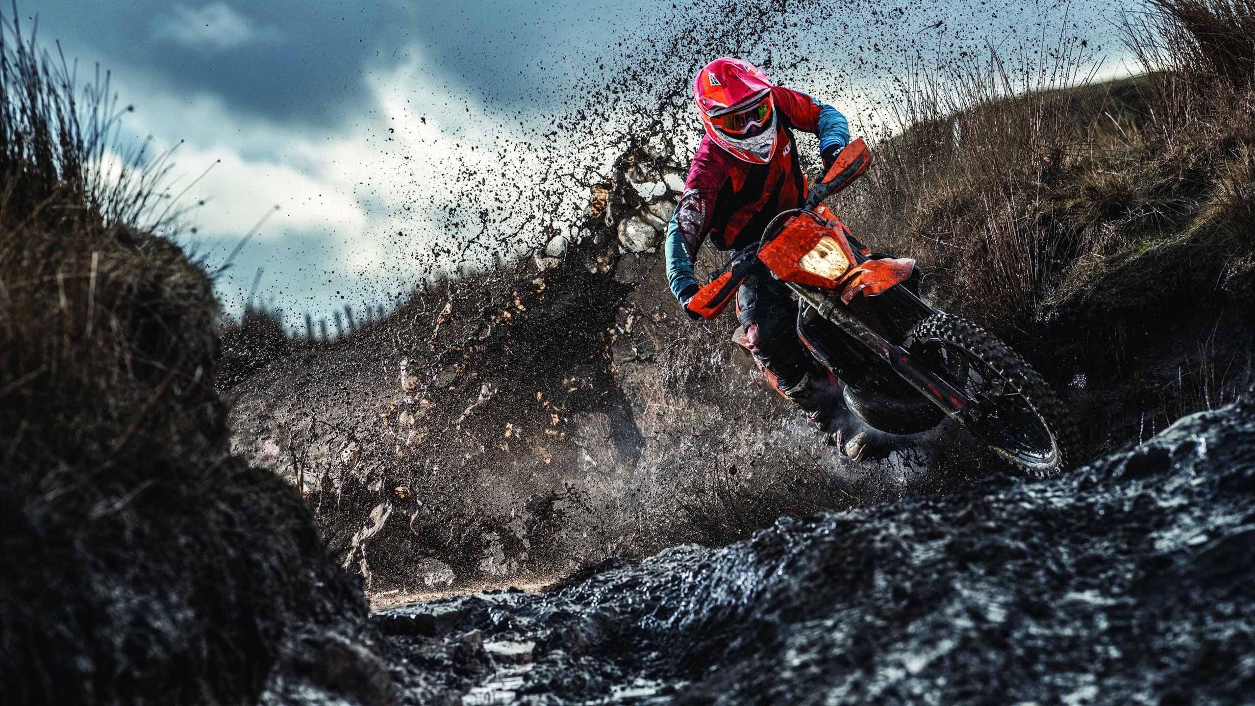 世界杯之夜，加维在焦点战中证明自己